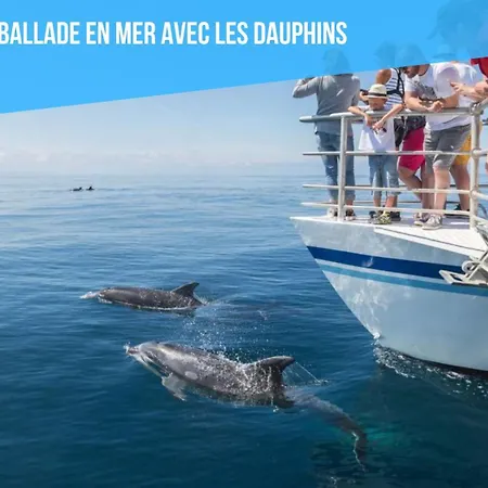 Caporizon-albufeira-vue Panoramique Mer-hyper Centre-4 Personnes 公寓 阿尔布费拉